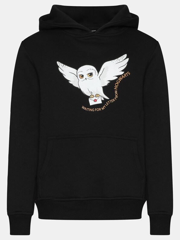 T-Shirt & Hoody 2 Pack - Harry Potter-1