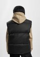 Puffer -1