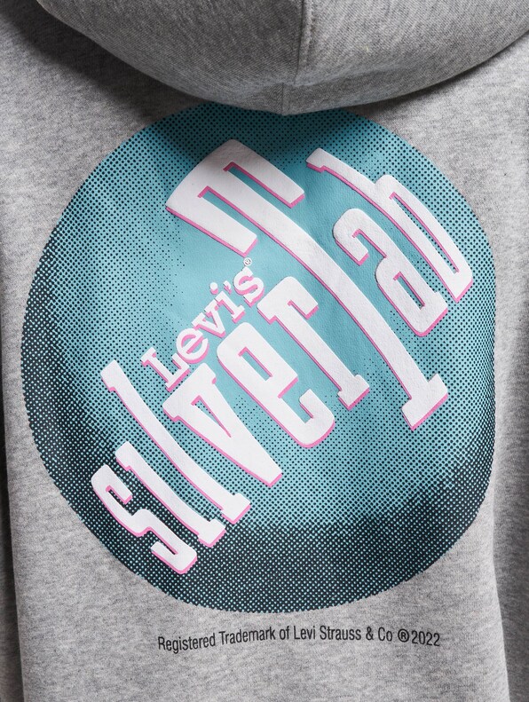 Levis Relaxed Graphic Hoodie-3