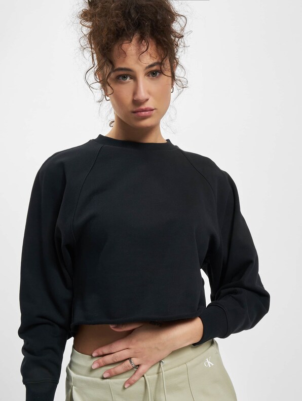 Calvin Klein Shiny Logo Blocking Pullover-0