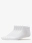 white_8503