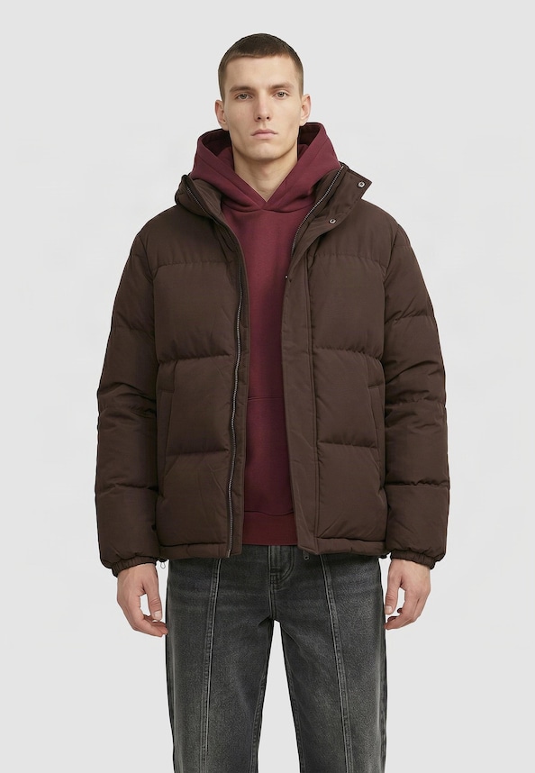 Basic Puffer Jacket with Hood-0