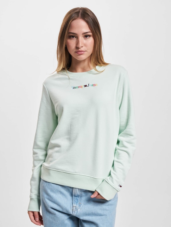 Tommy Jeans Reg Color Serif Linear Sweater-2