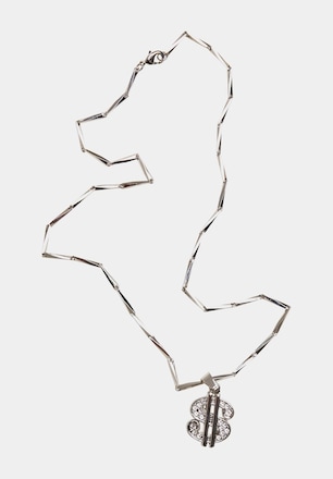 Small Dollar Necklace
