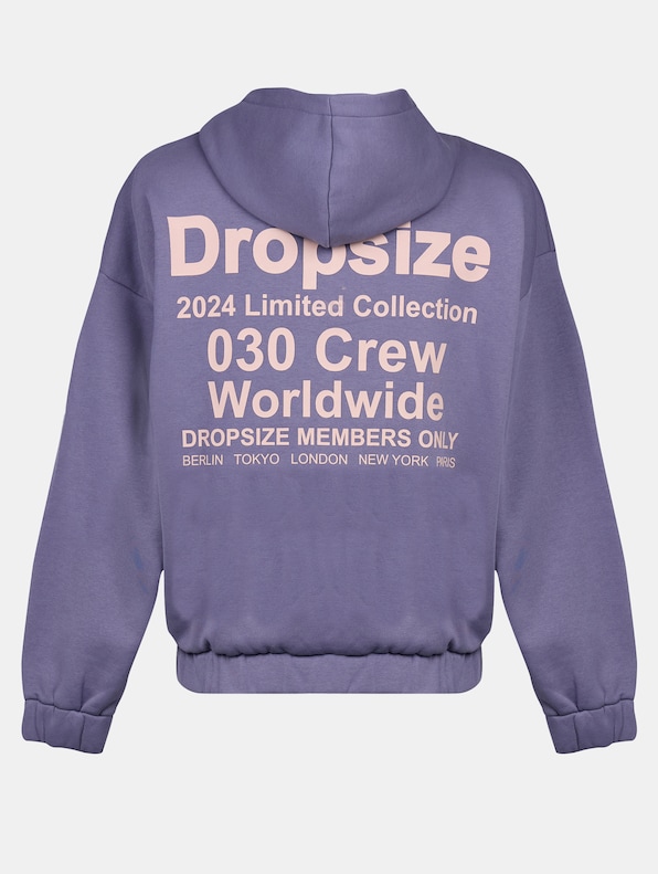 Dropsize Heavy Oversize Limited Zip Hoodies-6