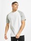 white_31662
