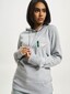 grey_17304