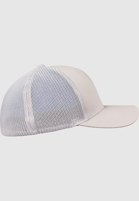 Mesh -4