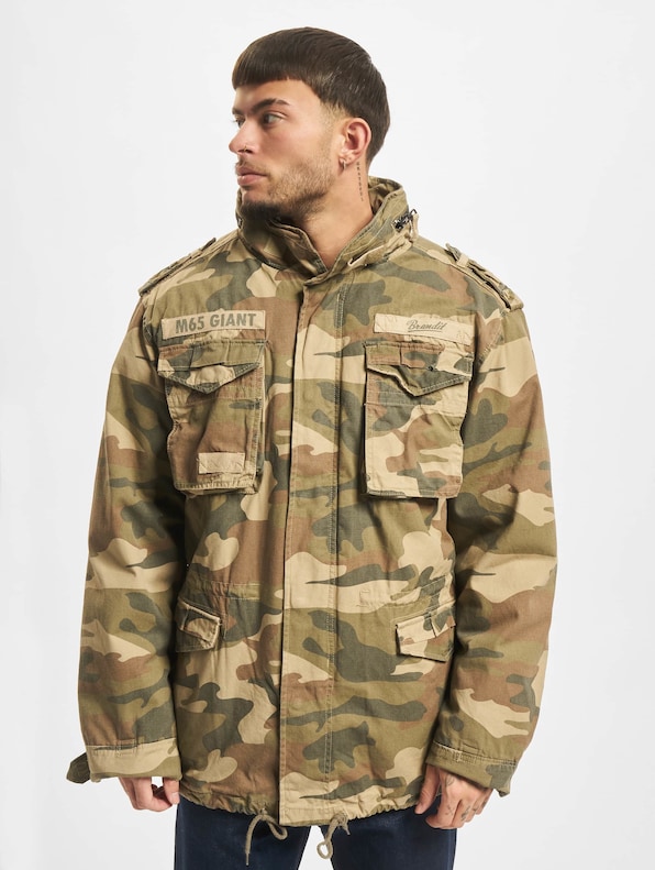 M65 Giant -2