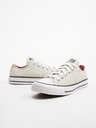 Converse Chuck Taylor All Star Floral Schuhe