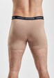 3 Pack Trunk-1