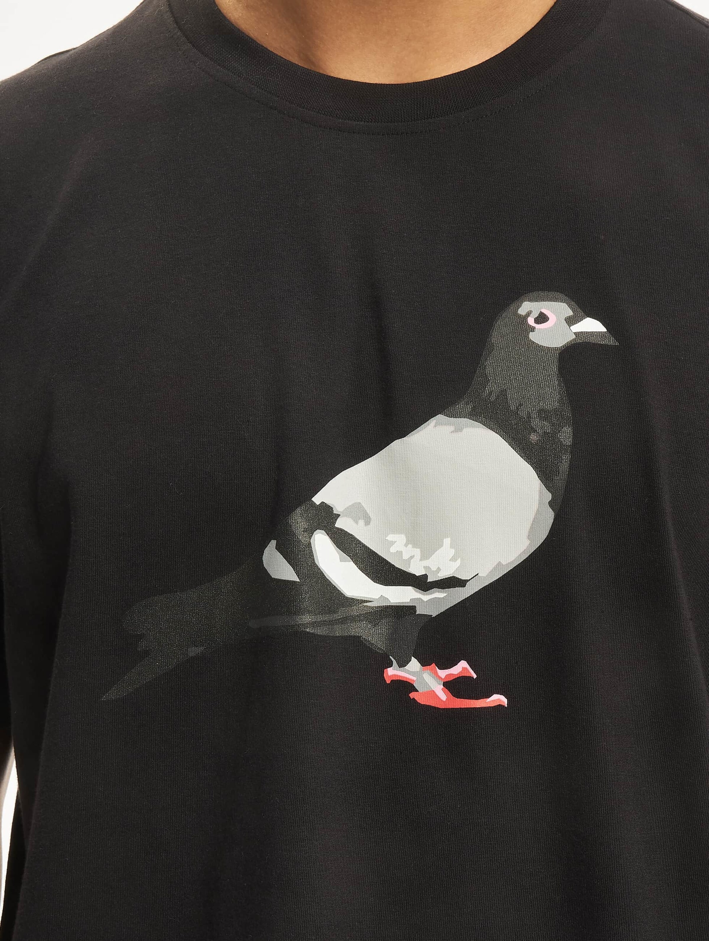 Pigeon shirt sales