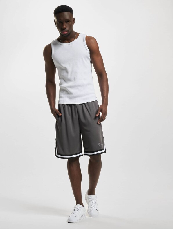 Small Signature Essential Mesh -5