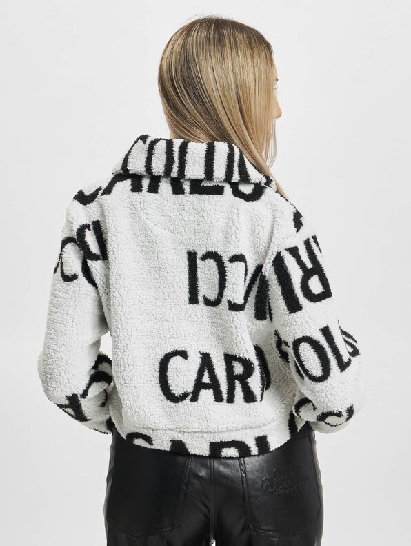 Cropped Teddy-1