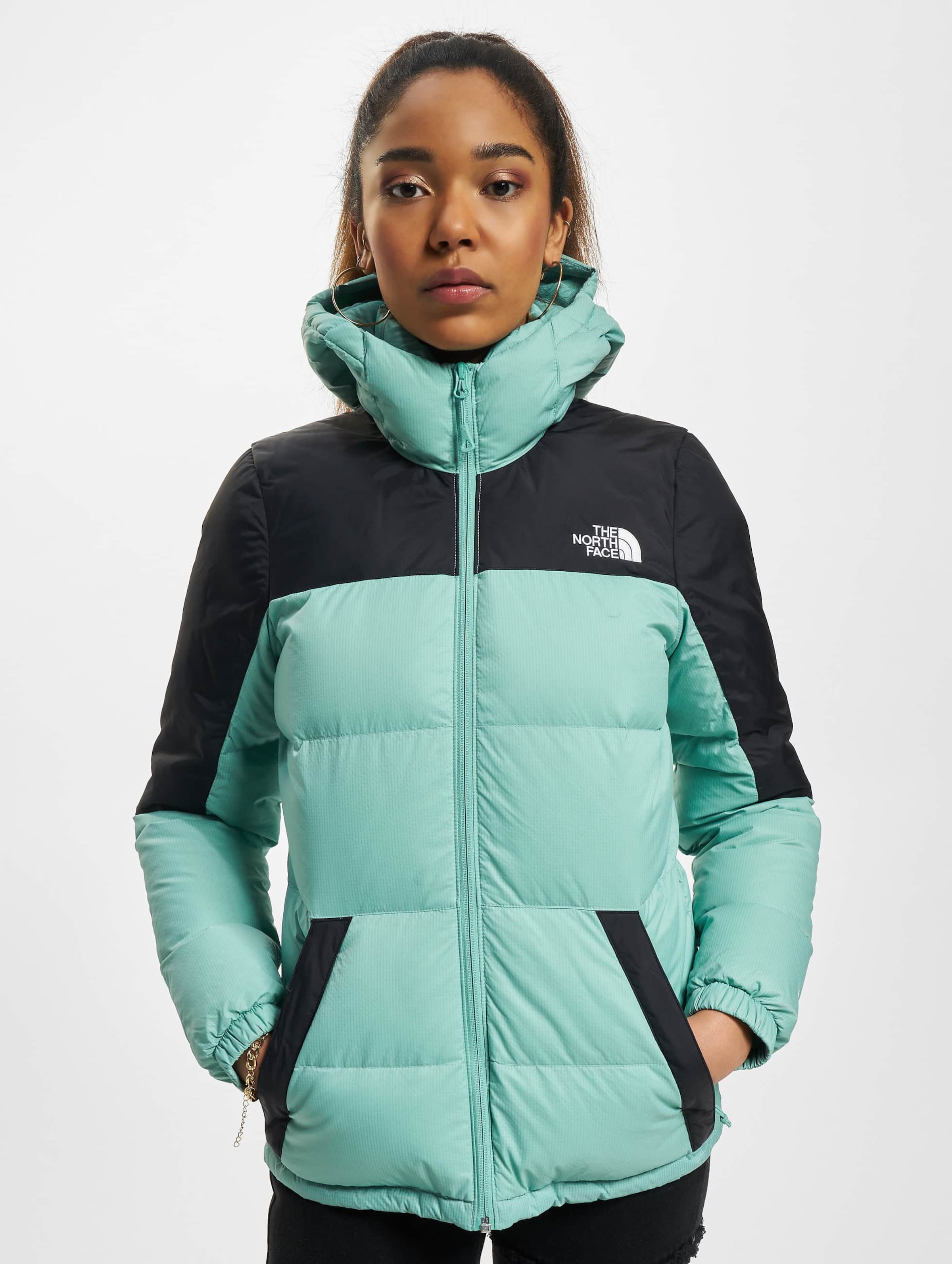 North face shop bubble jacket jd