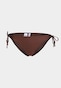 brown_21582