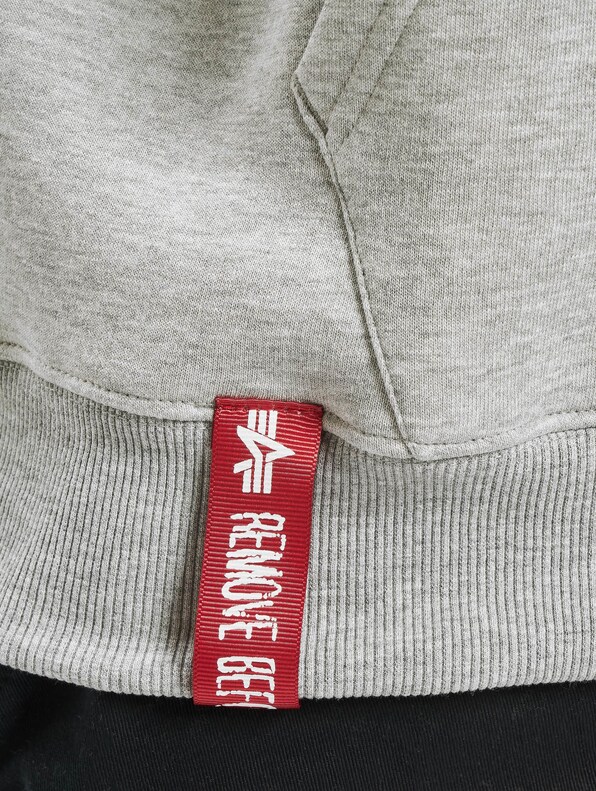 Alpha Industries Basic Hoodies-3