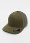 olive_99295