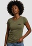 olive_210339