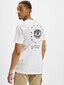 white_17821