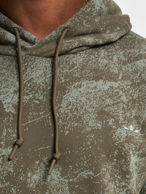 adidas Originals ADV Graphic Hoodies-3