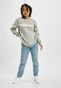 grey_13231
