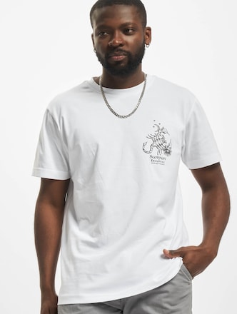 Astro Scorpio
