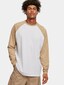 white_4829