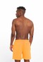 orange_10574