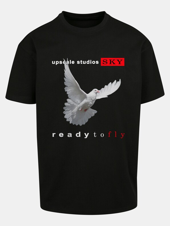 Ready to fly Oversize-4