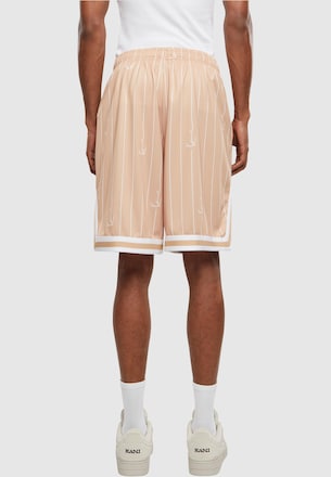 KM242-012-1 Karl Kani Small Varsity Logo Pinstripe Mesh Shorts
