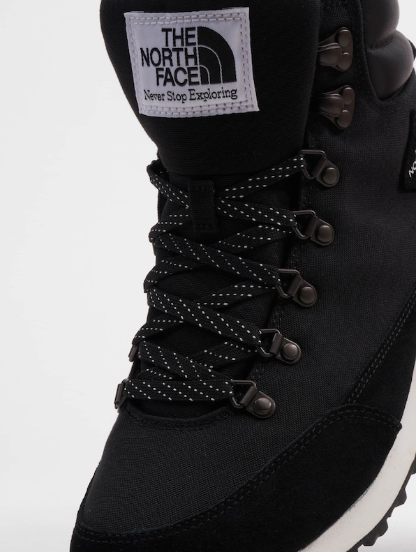 Back-To-Berkeley IV-8