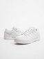 white_113523