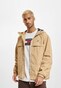 brown_127439