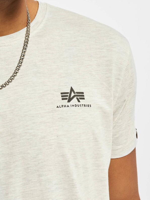 Basic Small Logo-3