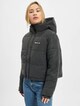 Monolis Padded-2