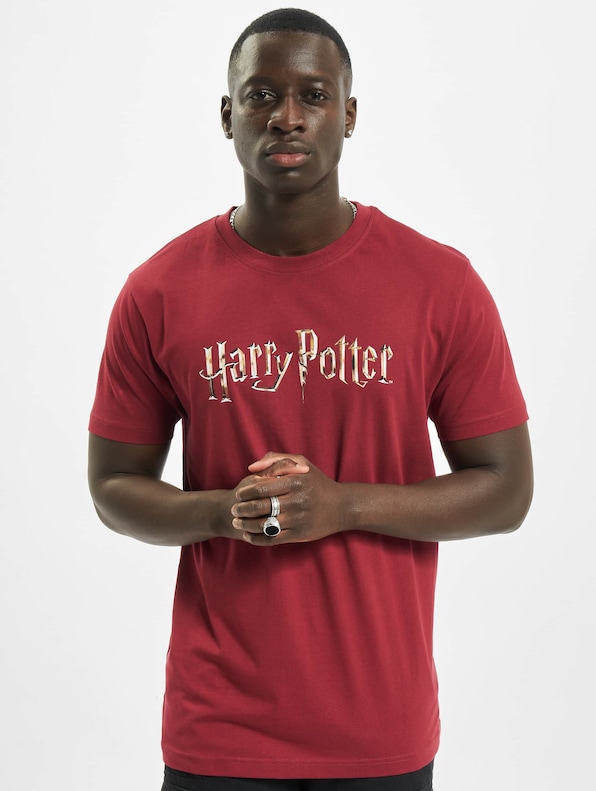 Harry Potter Logo-2