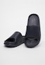 black_100555