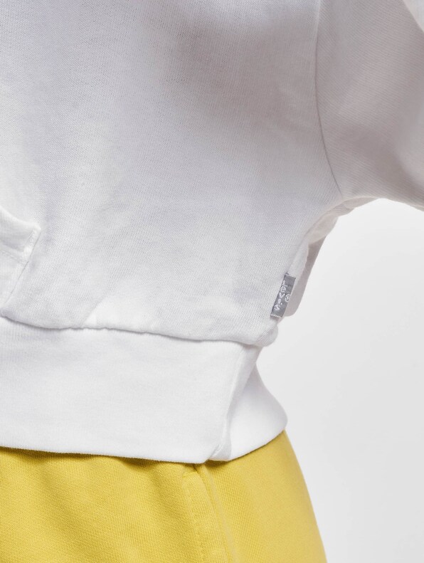 Levis Graphic Laundry Hoodie-5