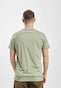 green_20857