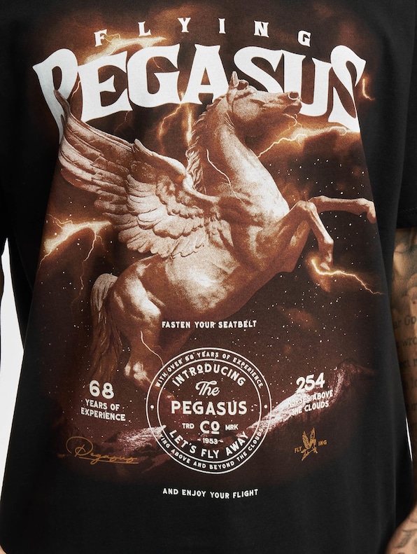 Pegasus Oversize-3
