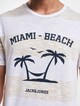 Summer Stripe Crew-3