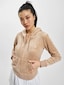 brown_22844