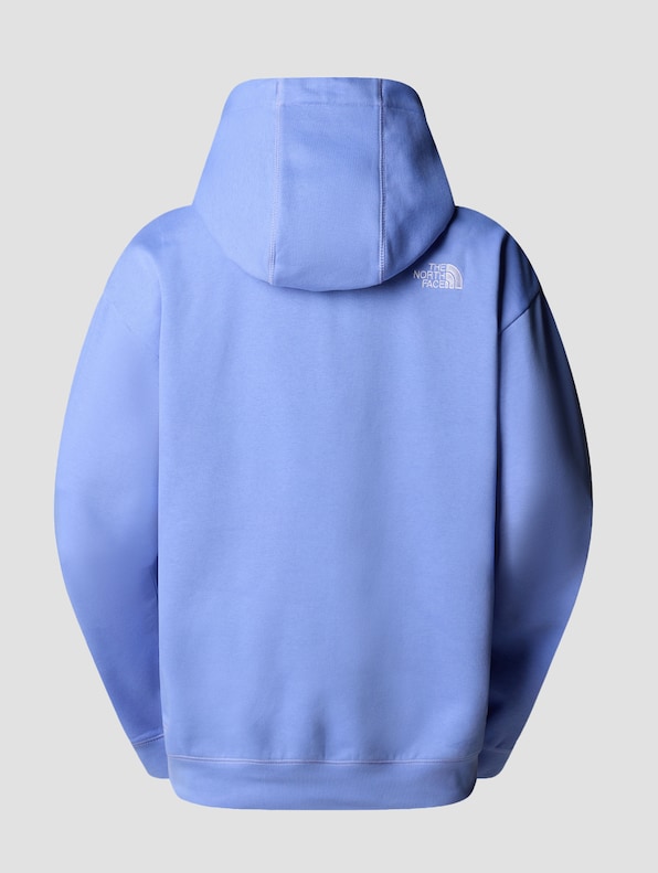 The North Face Essential Oversize Hoodies-1