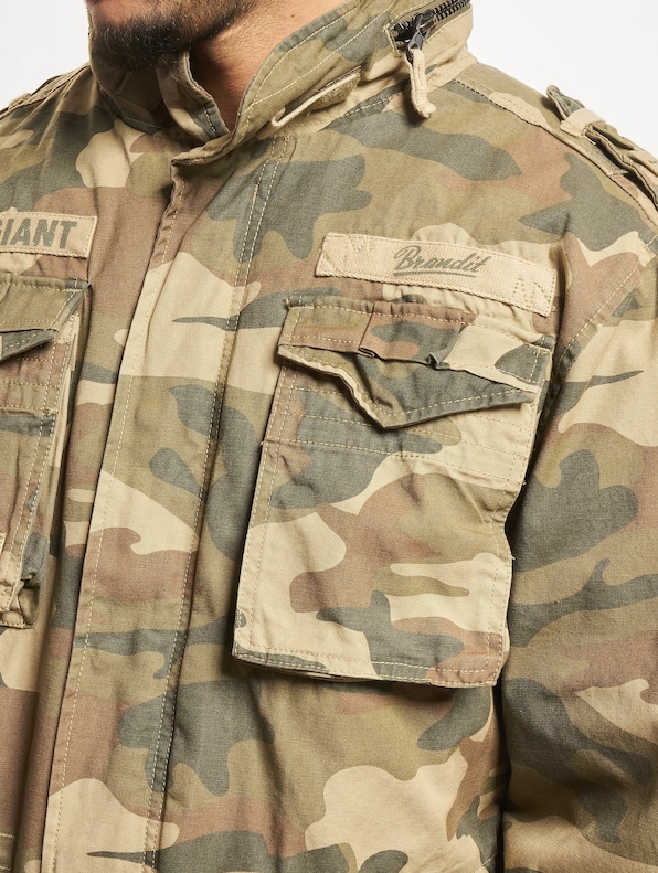 M65 Giant -3