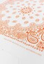 white_57861
