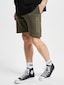 olive_102281