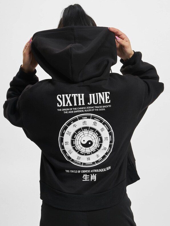  Chinese Zodiac Signs-1