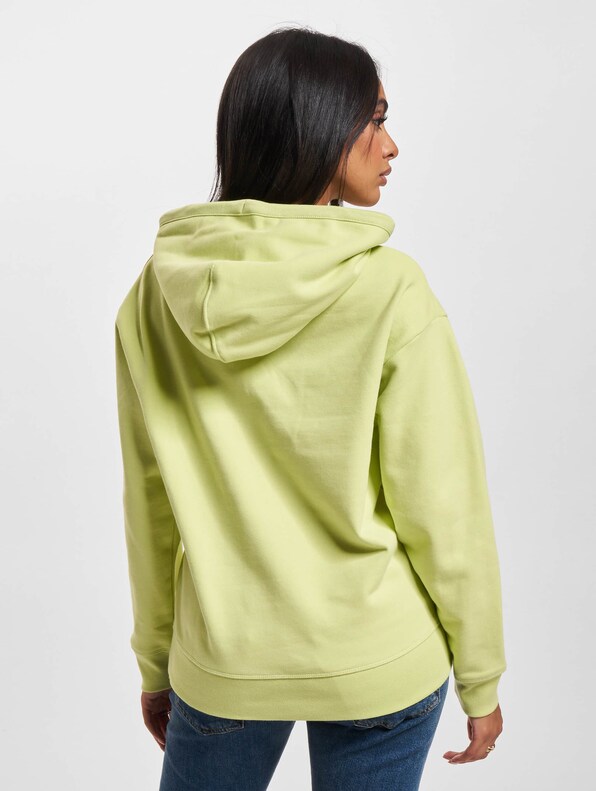 Levi's Standard Hoodies-1