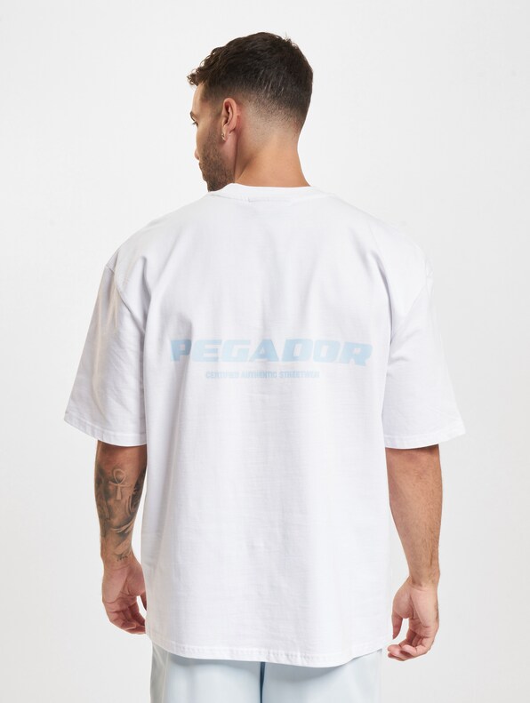 PEGADOR Colne Logo Oversized T-Shirts-1